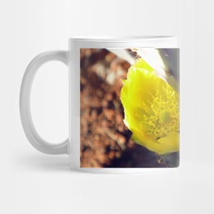 Cactus Peekaboo Mug